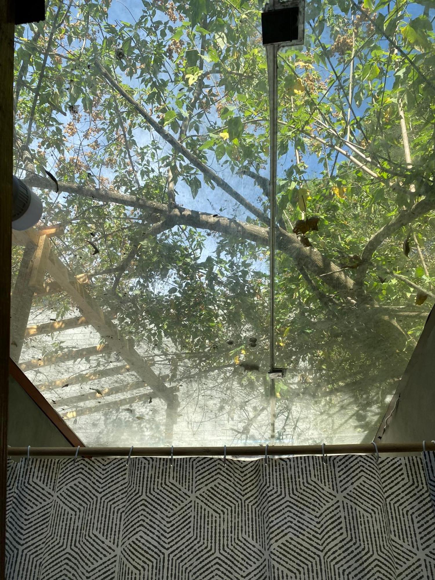 Cabanas Alpina, Romantica Y Acogedora A 10 Minutos Del Centro Tepoztlán Exterior foto